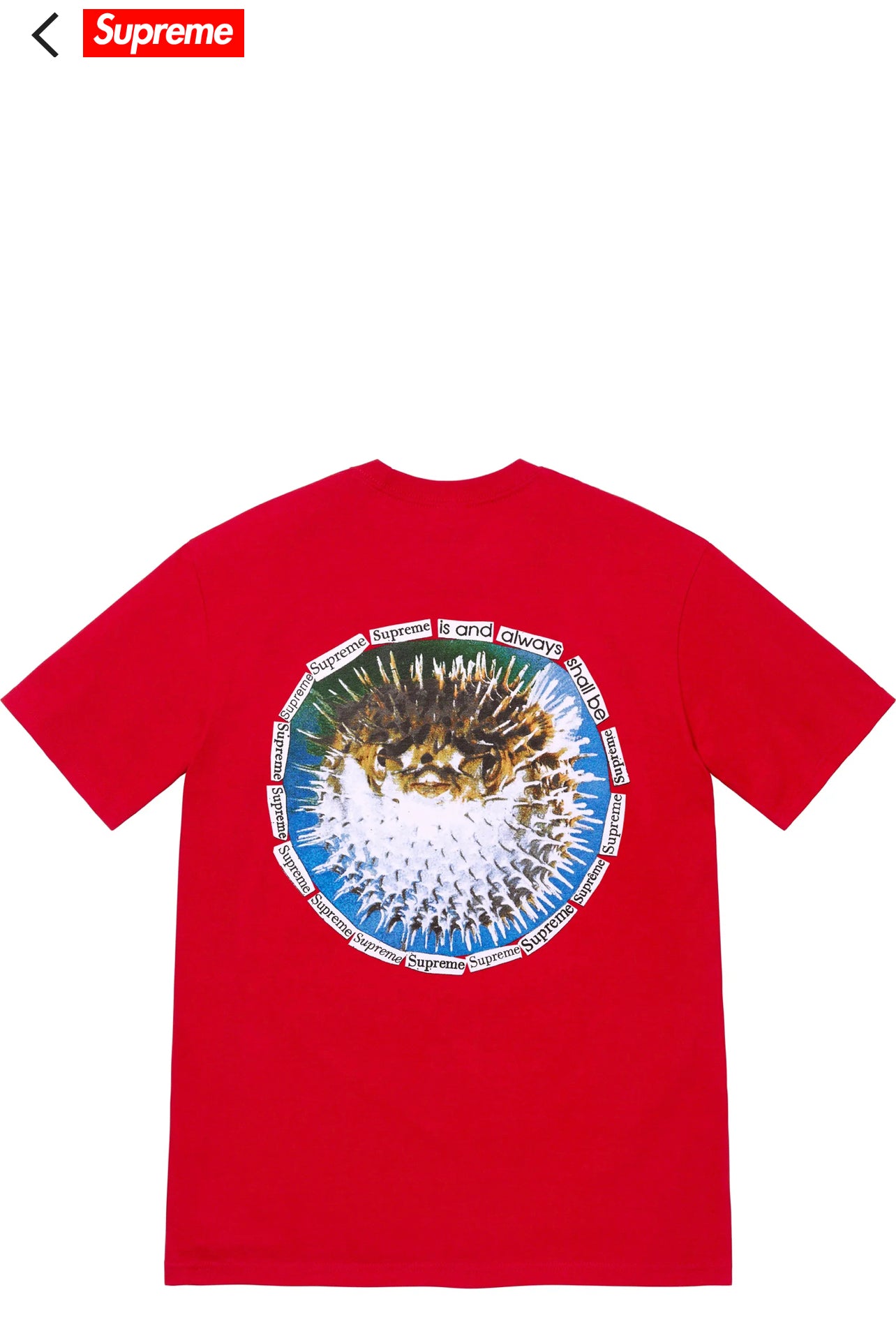 Supreme Blowfish tee