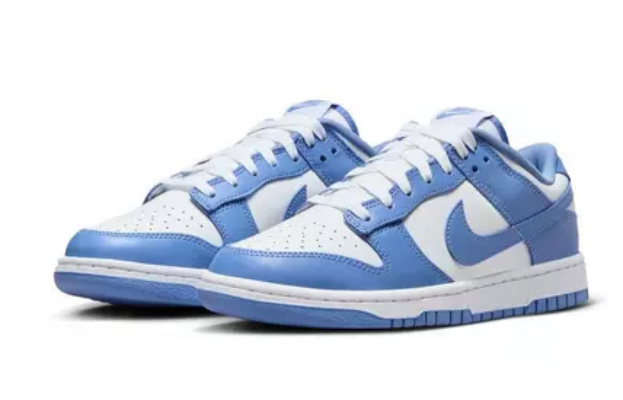 MENS NIKE DUNK LOW poolar