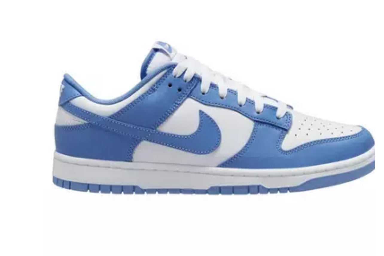 MENS NIKE DUNK LOW poolar